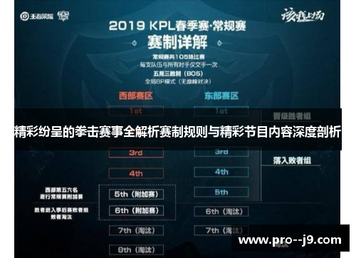 精彩纷呈的拳击赛事全解析赛制规则与精彩节目内容深度剖析