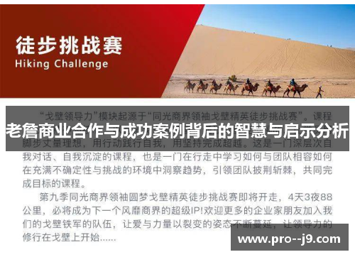 老詹商业合作与成功案例背后的智慧与启示分析