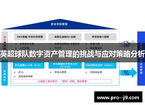 英超球队数字资产管理的挑战与应对策略分析