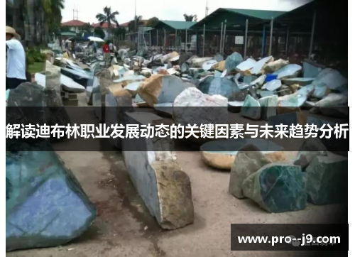 解读迪布林职业发展动态的关键因素与未来趋势分析