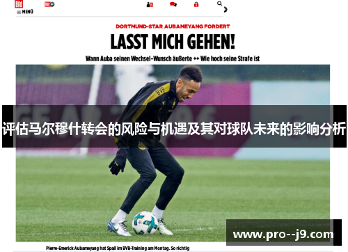 评估马尔穆什转会的风险与机遇及其对球队未来的影响分析 评估马尔穆什转会的风险与机遇及其对球队未来的影响分析