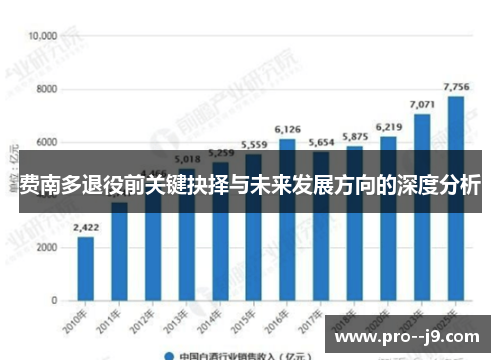 费南多退役前关键抉择与未来发展方向的深度分析 费南多退役前关键抉择与未来发展方向的深度分析