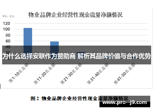 为什么选择安联作为赞助商 解析其品牌价值与合作优势