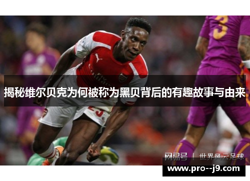 揭秘维尔贝克为何被称为黑贝背后的有趣故事与由来