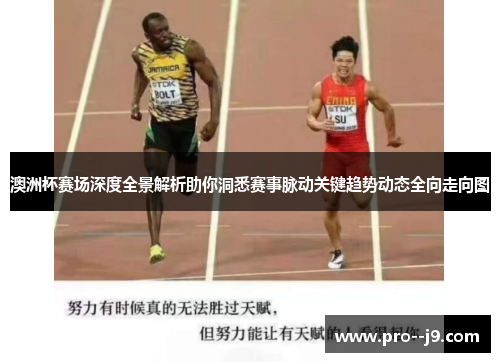 澳洲杯赛场深度全景解析助你洞悉赛事脉动关键趋势动态全向走向图