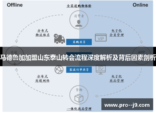 马德鲁加加盟山东泰山转会流程深度解析及背后因素剖析