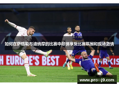 如何在萨格勒布迪纳摩的比赛中尽情享受比赛氛围和现场激情