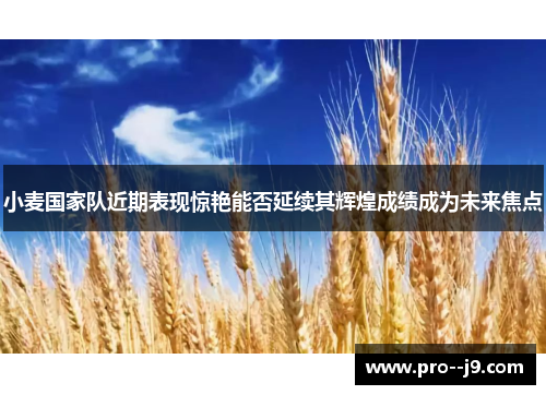 小麦国家队近期表现惊艳能否延续其辉煌成绩成为未来焦点