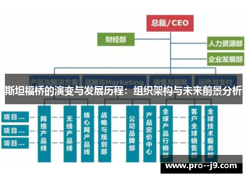 斯坦福桥的演变与发展历程：组织架构与未来前景分析