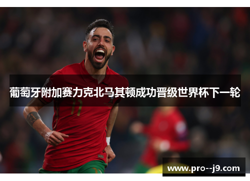 葡萄牙附加赛力克北马其顿成功晋级世界杯下一轮